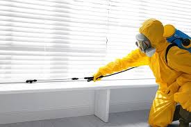 Best Pest Control for Restaurants and Food Service  in Indian Rocks Beach, FL